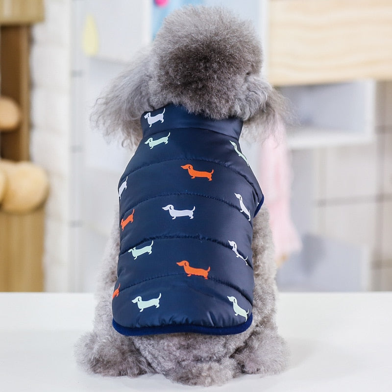 Abrigo de invierno para perros pequeños, chaqueta cálida para cachorros, abrigo para Chihuahua, Shih Tzu