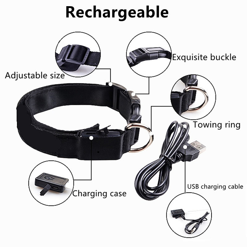 Correa Led brillante para perro, Collar luminoso con colgante, luz de lujo para perros y gatos, accesorios intermitentes de seguridad nocturna