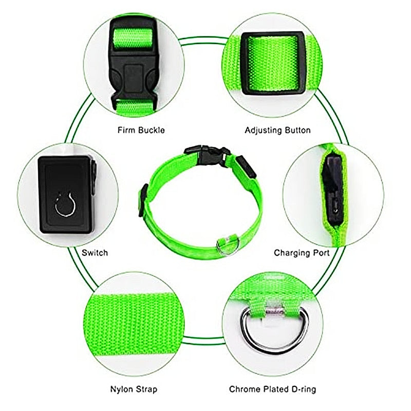 Correa Led brillante para perro, Collar luminoso con colgante, luz de lujo para perros y gatos, accesorios intermitentes de seguridad nocturna