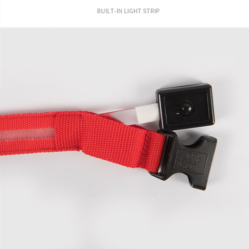 Correa Led brillante para perro, Collar luminoso con colgante, luz de lujo para perros y gatos, accesorios intermitentes de seguridad nocturna