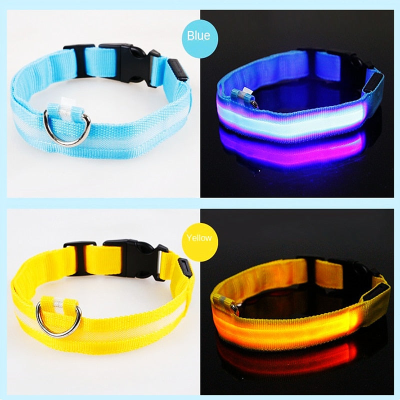 Correa Led brillante para perro, Collar luminoso con colgante, luz de lujo para perros y gatos, accesorios intermitentes de seguridad nocturna