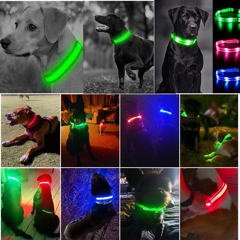 Correa Led brillante para perro, Collar luminoso con colgante, luz de lujo para perros y gatos, accesorios intermitentes de seguridad nocturna