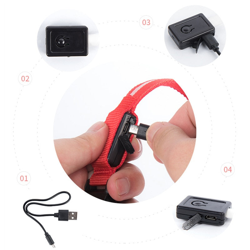Correa Led brillante para perro, Collar luminoso con colgante, luz de lujo para perros y gatos, accesorios intermitentes de seguridad nocturna