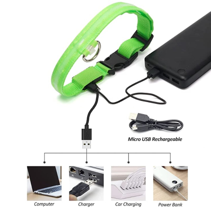Correa Led brillante para perro, Collar luminoso con colgante, luz de lujo para perros y gatos, accesorios intermitentes de seguridad nocturna