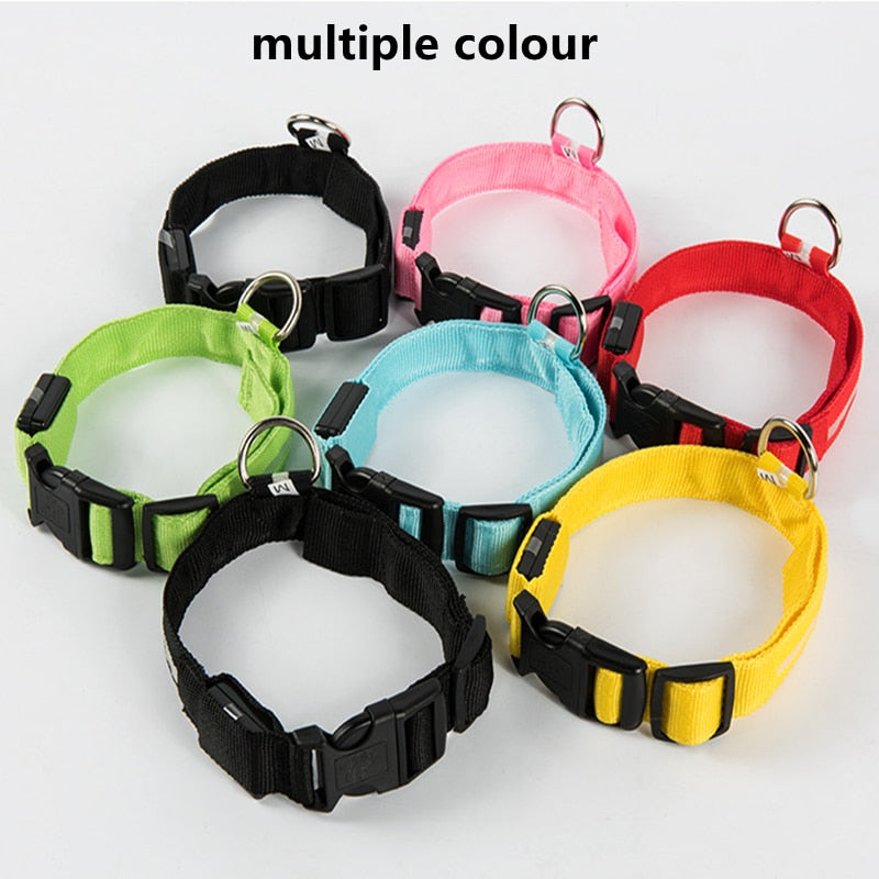 Correa Led brillante para perro, Collar luminoso con colgante, luz de lujo para perros y gatos, accesorios intermitentes de seguridad nocturna