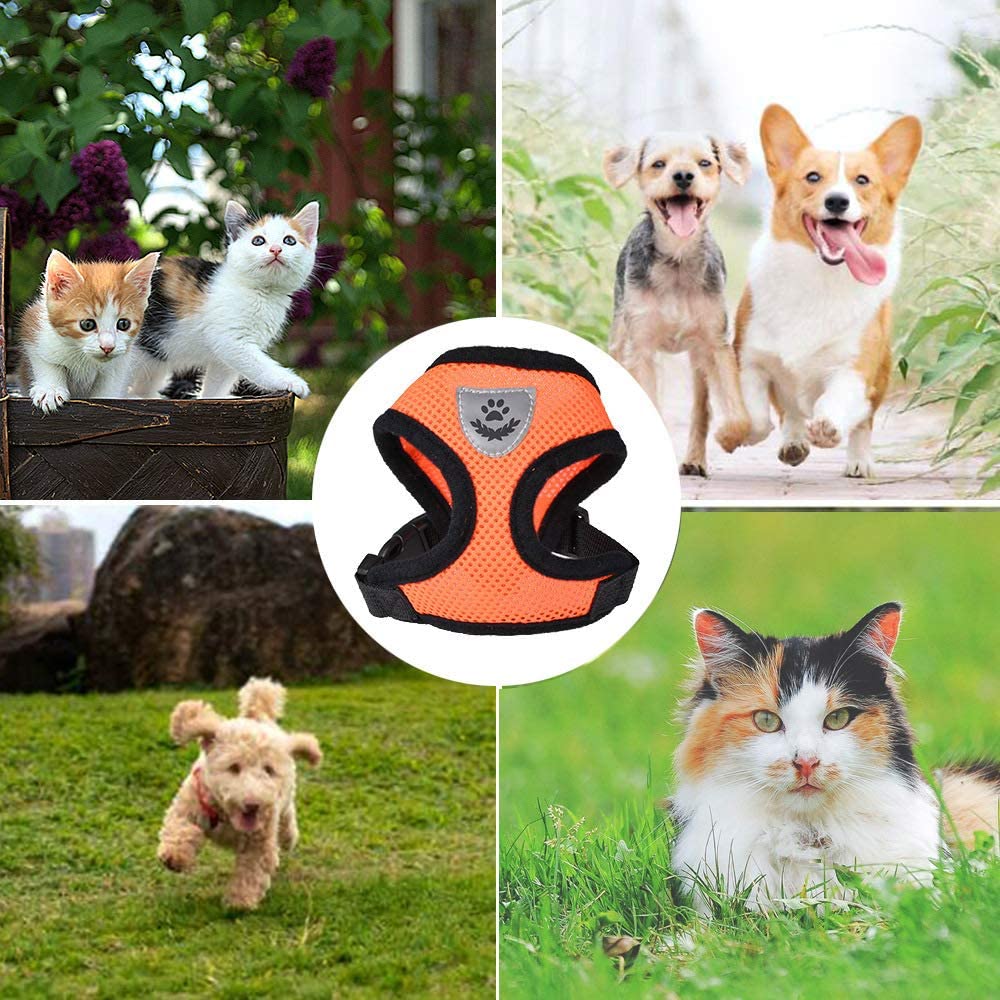 Arnés y correa de nailon para gatos, de malla transpirable para gatos y perros pequeños, bulldog francés, chihuahua y cachorros