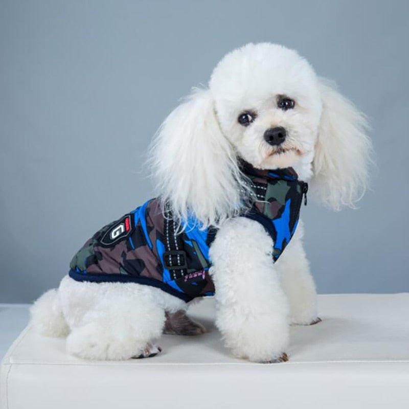 Impermeable de invierno para perros, chaqueta para lluvia. Todos los tamaños.