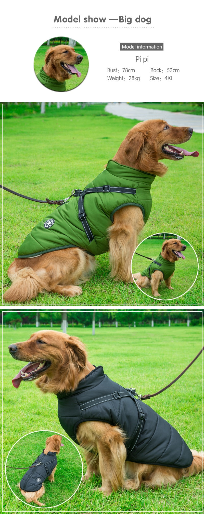 Impermeable de invierno para perros, chaqueta para lluvia. Todos los tamaños.