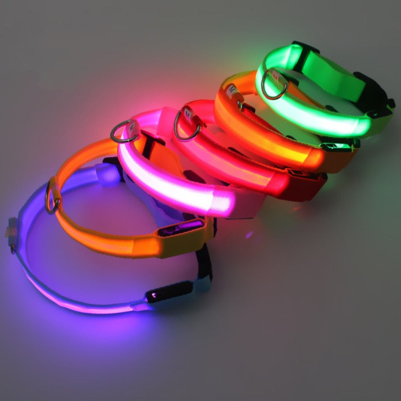 Correa Led brillante para perro, Collar luminoso con colgante, luz de lujo para perros y gatos, accesorios intermitentes de seguridad nocturna