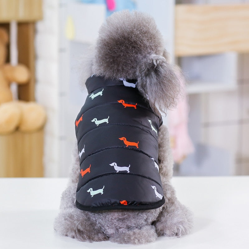 Abrigo de invierno para perros pequeños, chaqueta cálida para cachorros, abrigo para Chihuahua, Shih Tzu