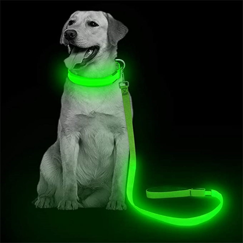 Correa Led brillante para perro, Collar luminoso con colgante, luz de lujo para perros y gatos, accesorios intermitentes de seguridad nocturna