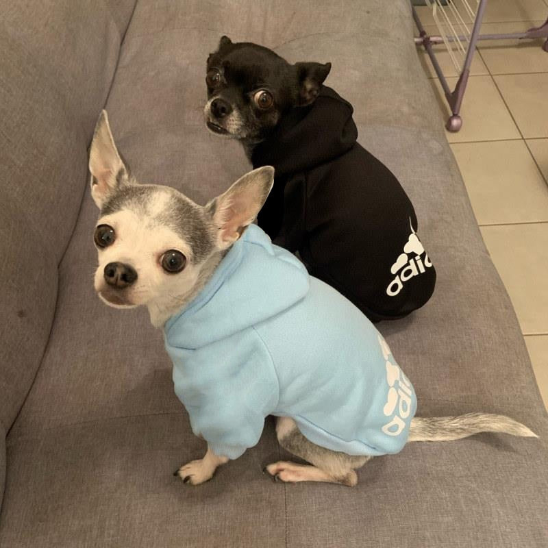 Ropa de lana suave para perro, sudadera cálida con capucha para Chihuahua, Bulldog Francés, Labrador
