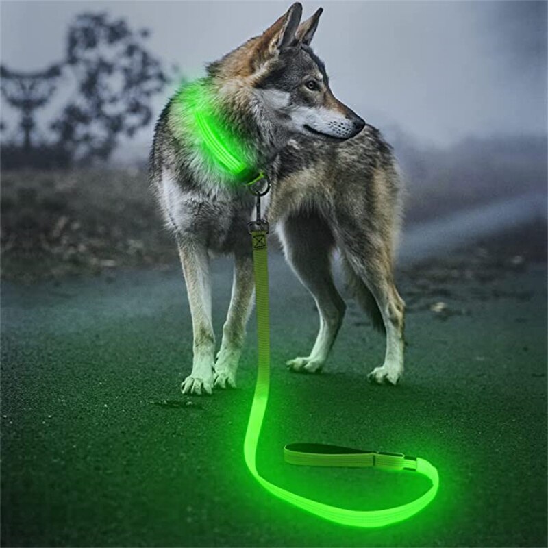Correa Led brillante para perro, Collar luminoso con colgante, luz de lujo para perros y gatos, accesorios intermitentes de seguridad nocturna