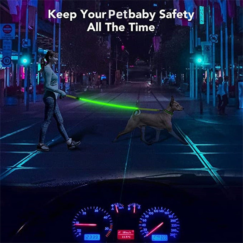 Correa Led brillante para perro, Collar luminoso con colgante, luz de lujo para perros y gatos, accesorios intermitentes de seguridad nocturna