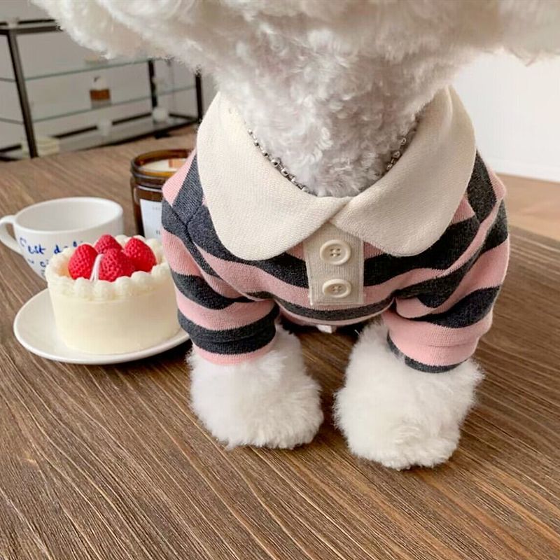 Ropa para perros Schnauzer, Teddy, York Shire, Polo Shirt Suave de verano