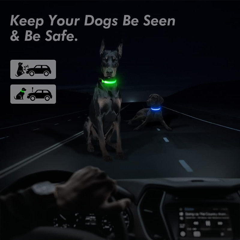 Correa Led brillante para perro, Collar luminoso con colgante, luz de lujo para perros y gatos, accesorios intermitentes de seguridad nocturna
