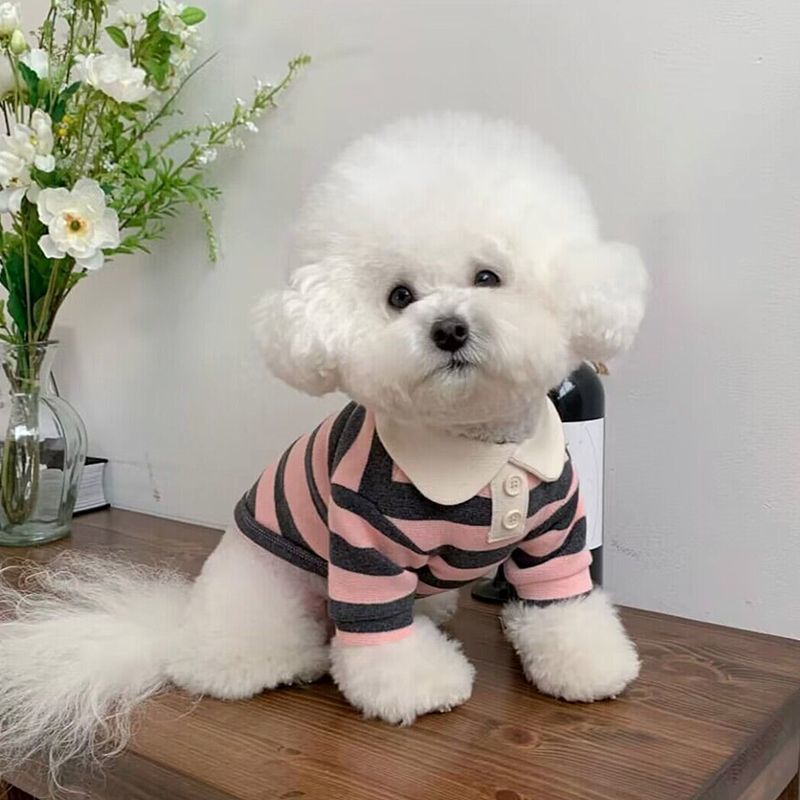 Ropa para perros Schnauzer, Teddy, York Shire, Polo Shirt Suave de verano