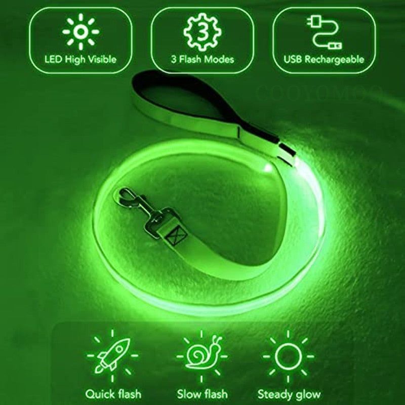 Correa Led brillante para perro, Collar luminoso con colgante, luz de lujo para perros y gatos, accesorios intermitentes de seguridad nocturna