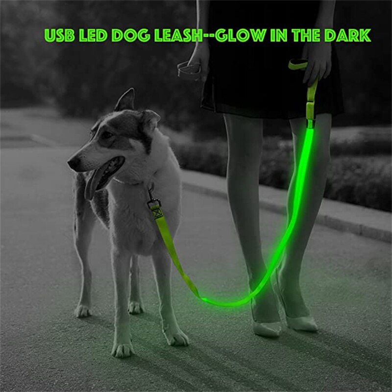 Correa Led brillante para perro, Collar luminoso con colgante, luz de lujo para perros y gatos, accesorios intermitentes de seguridad nocturna