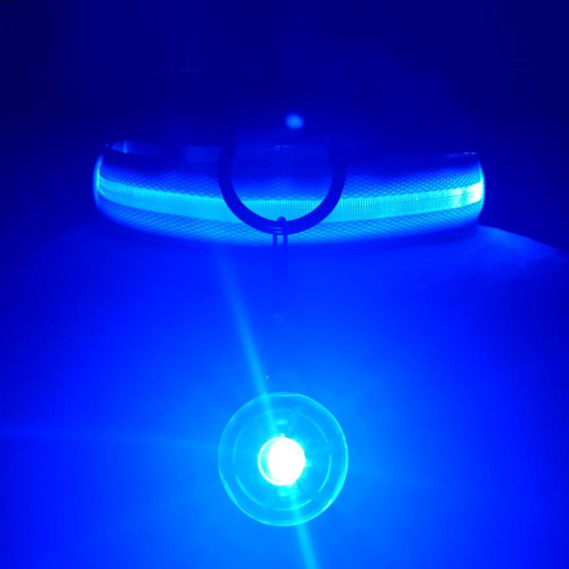 Correa Led brillante para perro, Collar luminoso con colgante, luz de lujo para perros y gatos, accesorios intermitentes de seguridad nocturna