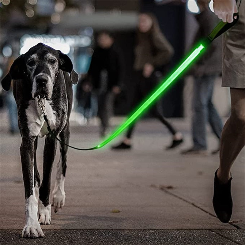 Correa Led brillante para perro, Collar luminoso con colgante, luz de lujo para perros y gatos, accesorios intermitentes de seguridad nocturna