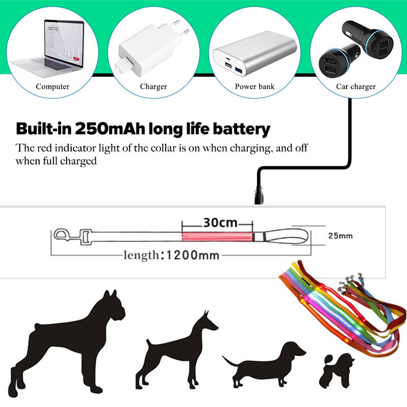 Correa Led brillante para perro, Collar luminoso con colgante, luz de lujo para perros y gatos, accesorios intermitentes de seguridad nocturna