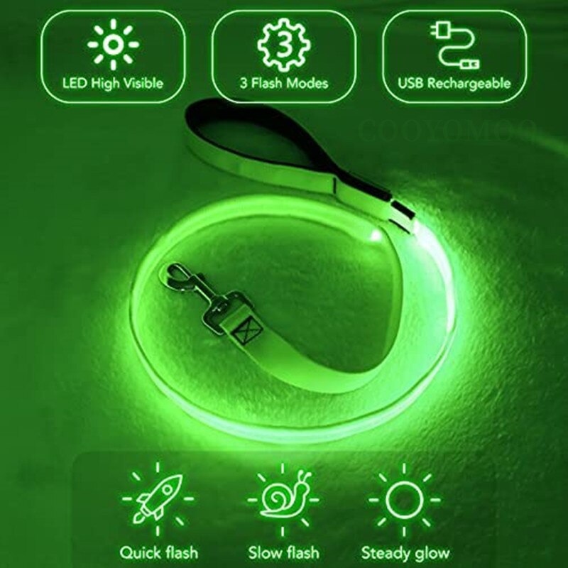 Correa Led brillante para perro, Collar luminoso con colgante, luz de lujo para perros y gatos, accesorios intermitentes de seguridad nocturna