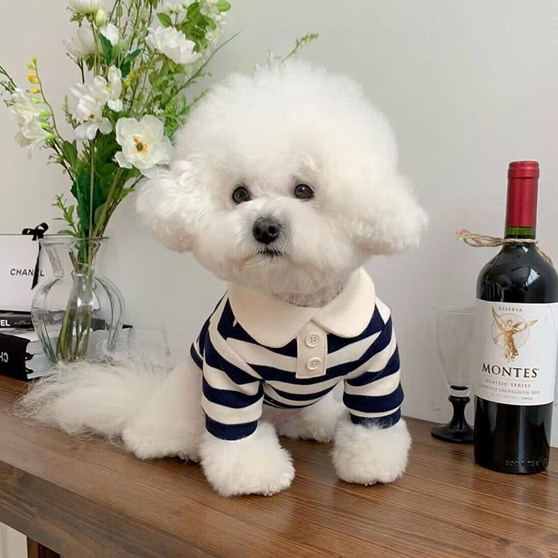 Ropa para perros Schnauzer, Teddy, York Shire, Polo Shirt Suave de verano