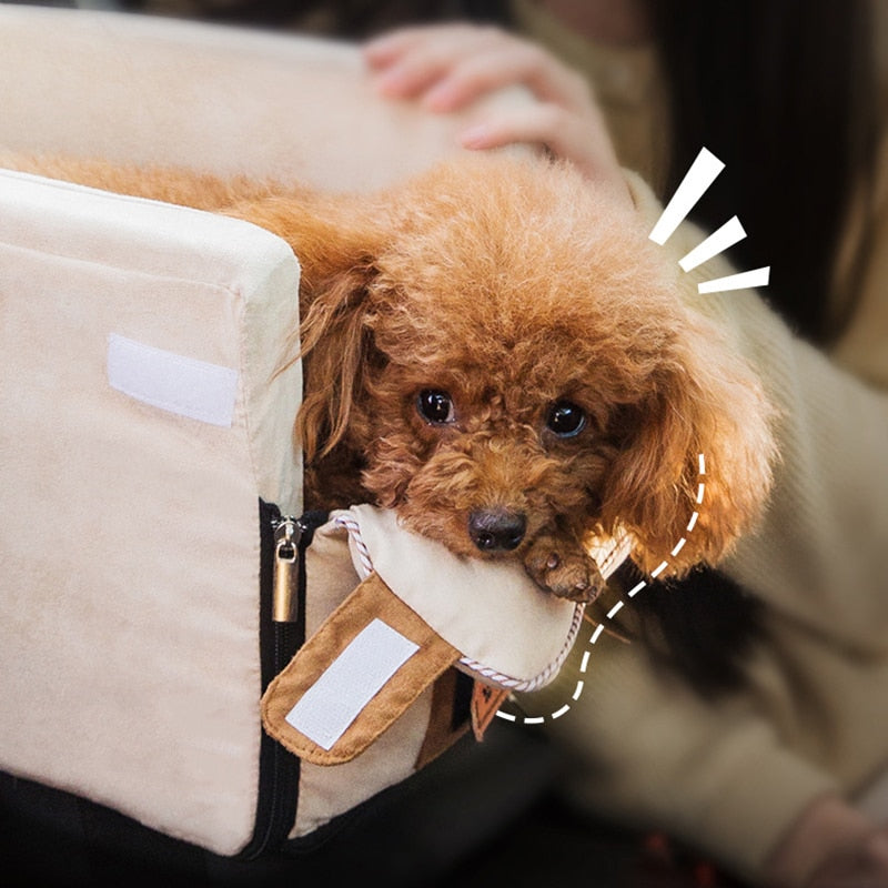Cama portátil de viaje para gato y perro, asiento de seguridad para coche, Protector de transporte para perros pequeños, Chihuahua, Teddy