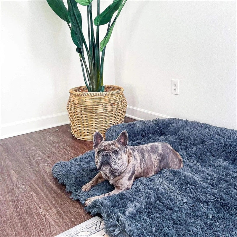 Sofá cama en forma de L para perro, cojín suave para mascota, perrera grande, cachorro, pequeño, mediano y grande
Sofá cama en forma de L para perro, cojín suave para mascota, perrera grande, cachorro, pequeño, mediano y gra