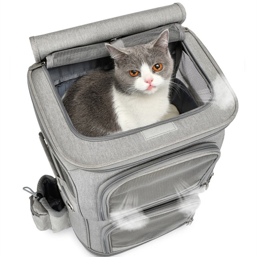 Bolsa de viaje para mascotas, Maleta plegable de 4 ruedas, caja de almacenamiento de 2 capas, bolso transpirable para cochecito de Mascota