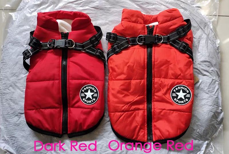 Impermeable de invierno para perros, chaqueta para lluvia. Todos los tamaños.