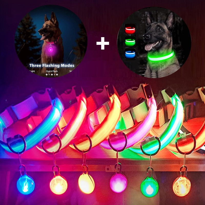 Correa Led brillante para perro, Collar luminoso con colgante, luz de lujo para perros y gatos, accesorios intermitentes de seguridad nocturna
