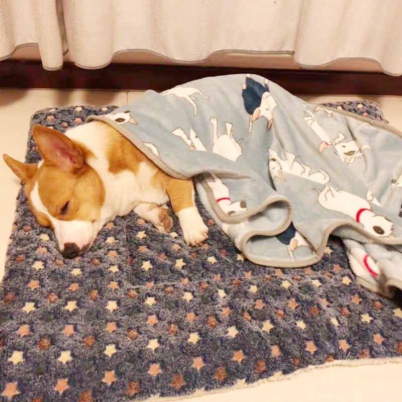 Alfombrillas gruesas para mascotas, cama suave para gatos, alfombrilla para perros pequeños y grandes, manta de invierno, productos para mascotas