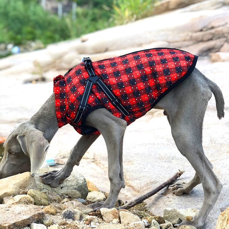 Impermeable de invierno para perros, chaqueta para lluvia. Todos los tamaños.