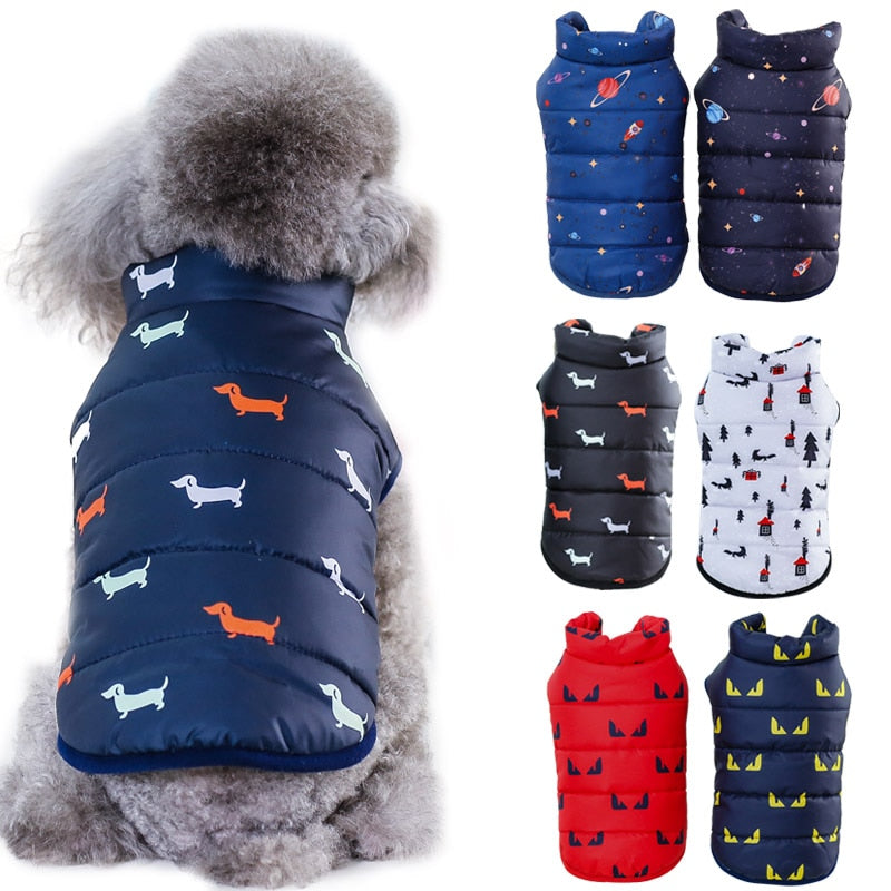 Abrigo de invierno para perros pequeños, chaqueta cálida para cachorros, abrigo para Chihuahua, Shih Tzu