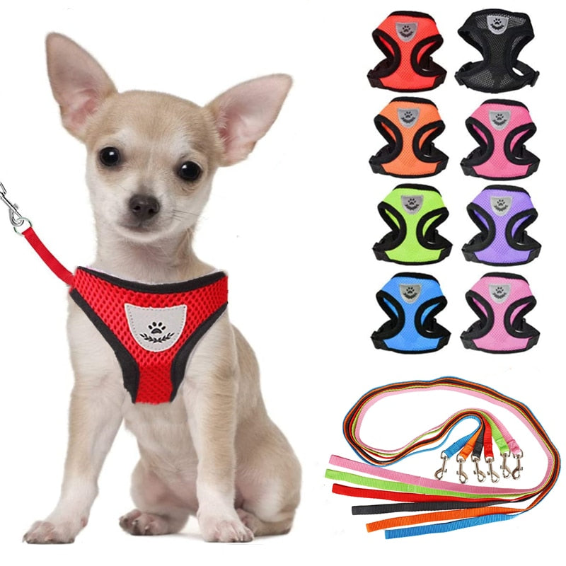 Arnés y correa de nailon para gatos, de malla transpirable para gatos y perros pequeños, bulldog francés, chihuahua y cachorros