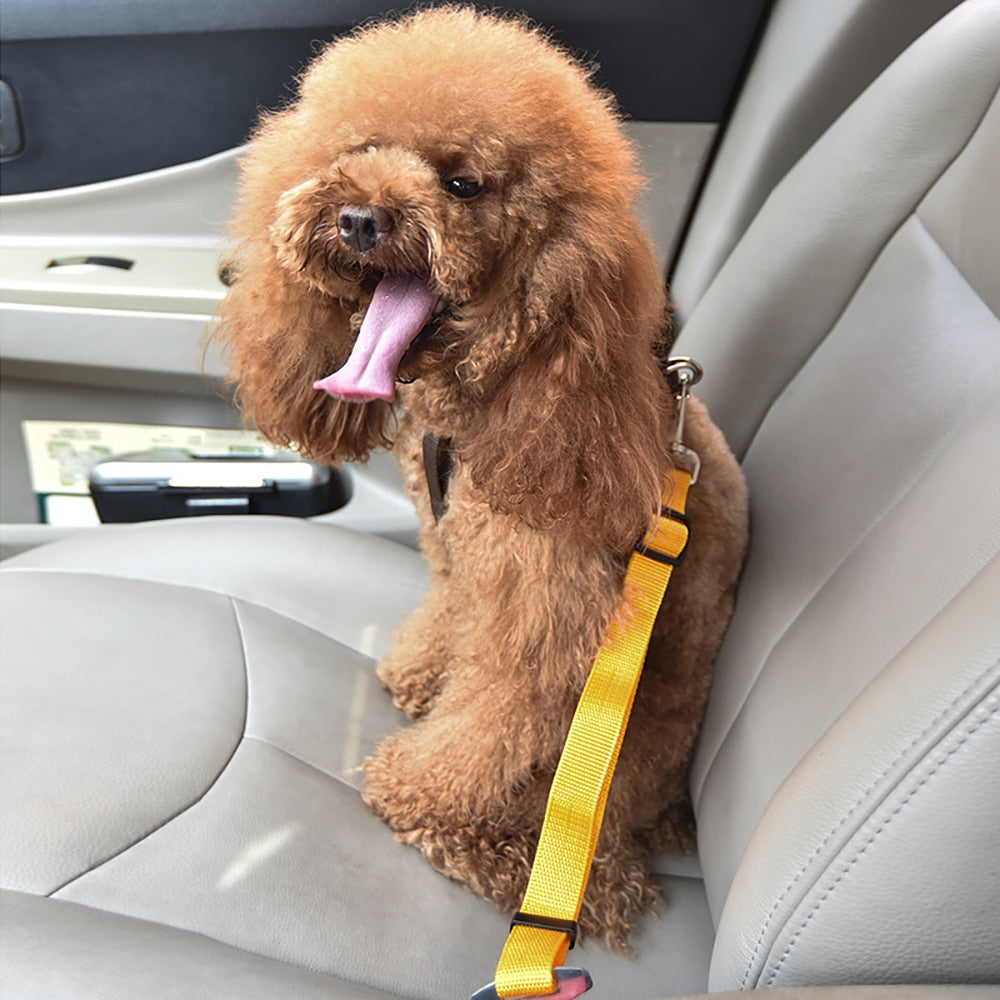 Cinturón de seguridad ajustable para perro y gato, correa de seguridad para vehículo, Collar de tracción de viaje, arnés para perro, Clip de plomo, producto para mascotas