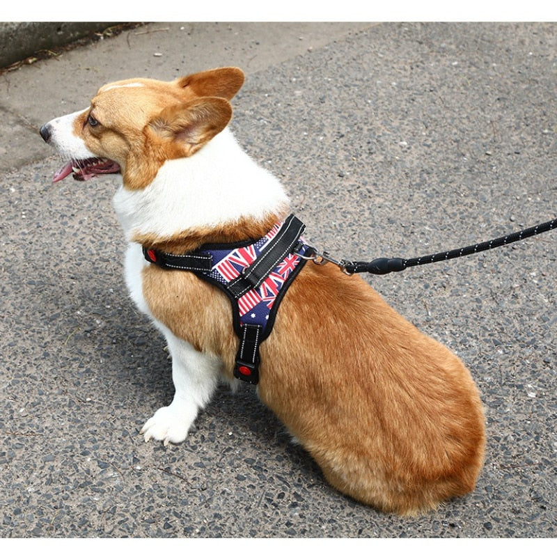 Arnés de nailon para perros, Collar acolchado de alta resistencia, tamaño Extra grande, mediano y pequeño, chaleco para perros Husky