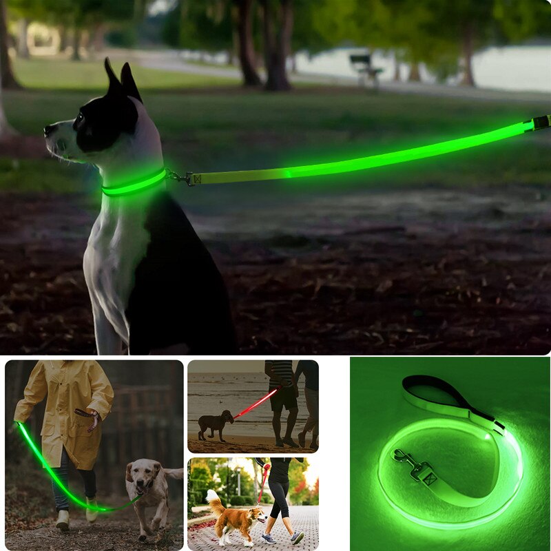 Correa Led brillante para perro, Collar luminoso con colgante, luz de lujo para perros y gatos, accesorios intermitentes de seguridad nocturna