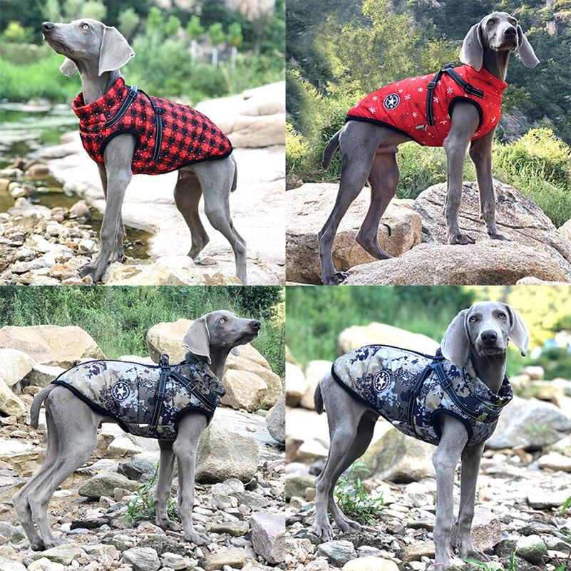 Impermeable de invierno para perros, chaqueta para lluvia. Todos los tamaños.