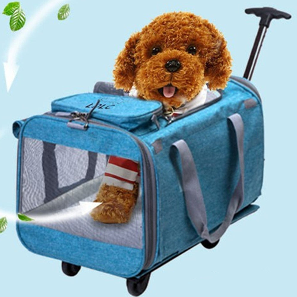 Maleta desmontable plegable para mascotas, bolso de hombro para gato y perro, Maleta de gran espacio, equipaje de viaje, cochecito con ruedas transpirables